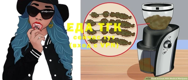 дживик Няндома