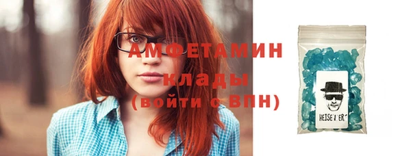 дживик Няндома