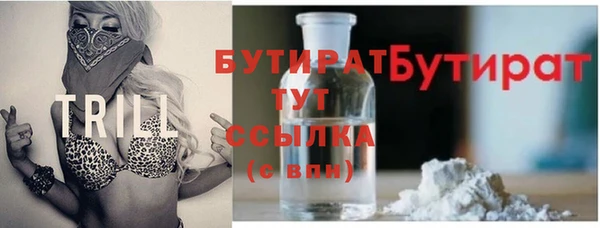 дживик Няндома