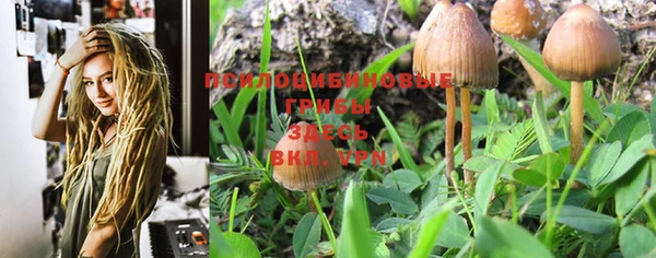 круглые Нягань