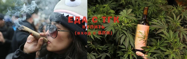 дживик Няндома