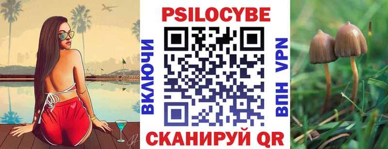 Галлюциногенные грибы мицелий  Купить  Альметьевск 